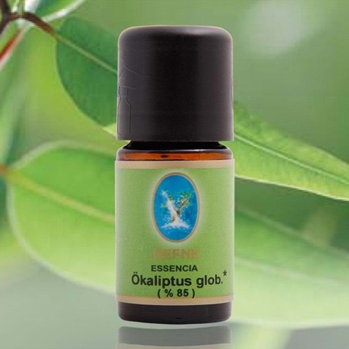 NUKA OCALİPTUS GLOB 10 ML