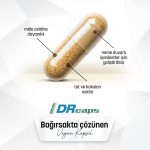 Ferrotrin Demir Takviyesi 60 Kapsül - Görsel 4