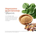 Magnezyum Takviyesi 60 Kapsül - Görsel 7