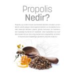 Suda Çözünebilir Propolis 50 mL - Görsel 2