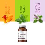 Zimotrin 90 Kapsül - Sindirim ve Mide Rahatlığı için Doğal Destek - Görsel 5