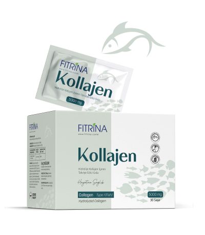 Tip 1 Balık Kolajeni Toz