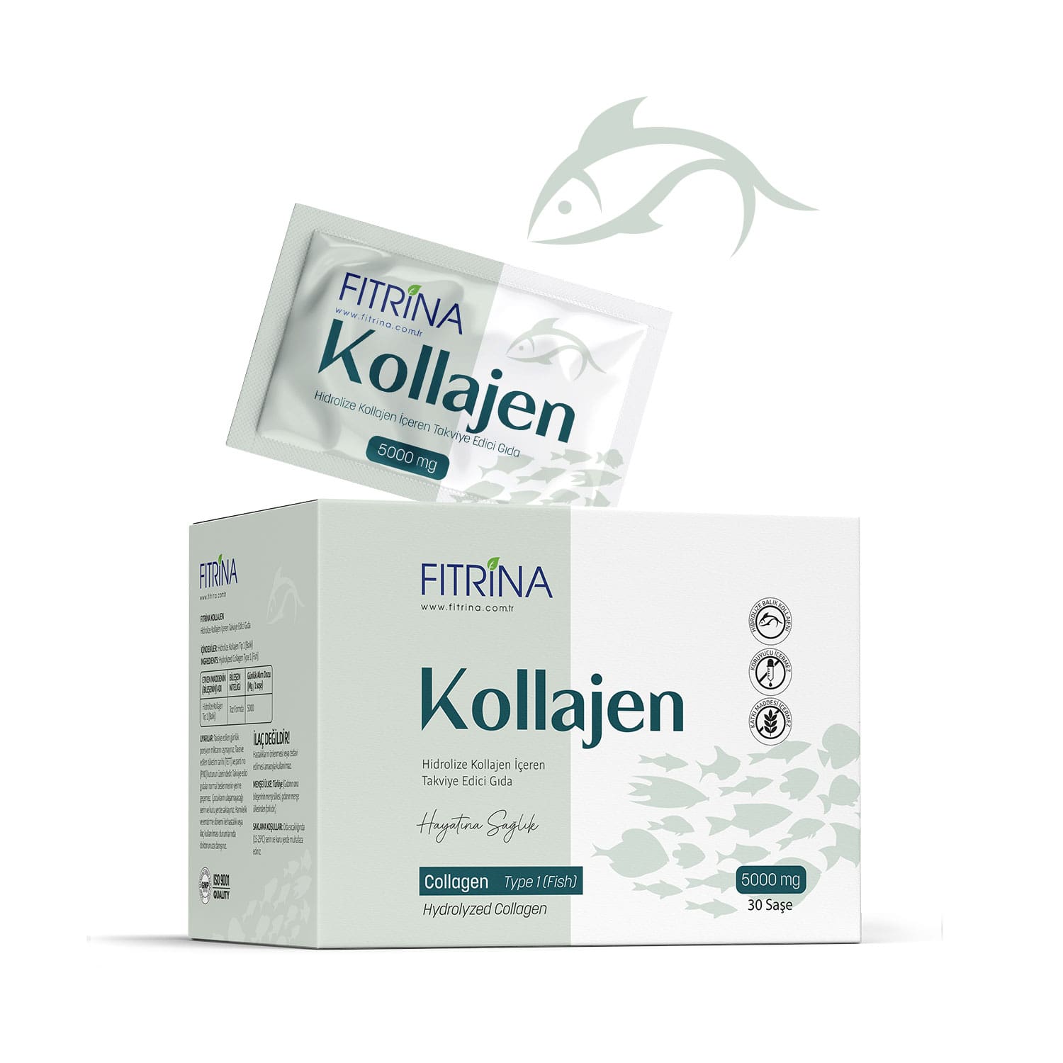 Tip 1 Balık Kolajeni Toz Tip 1 Balık Kolajeni Toz
