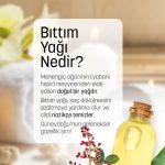 Bıttım yağı nedir