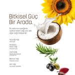 bitkisel güç bir arada